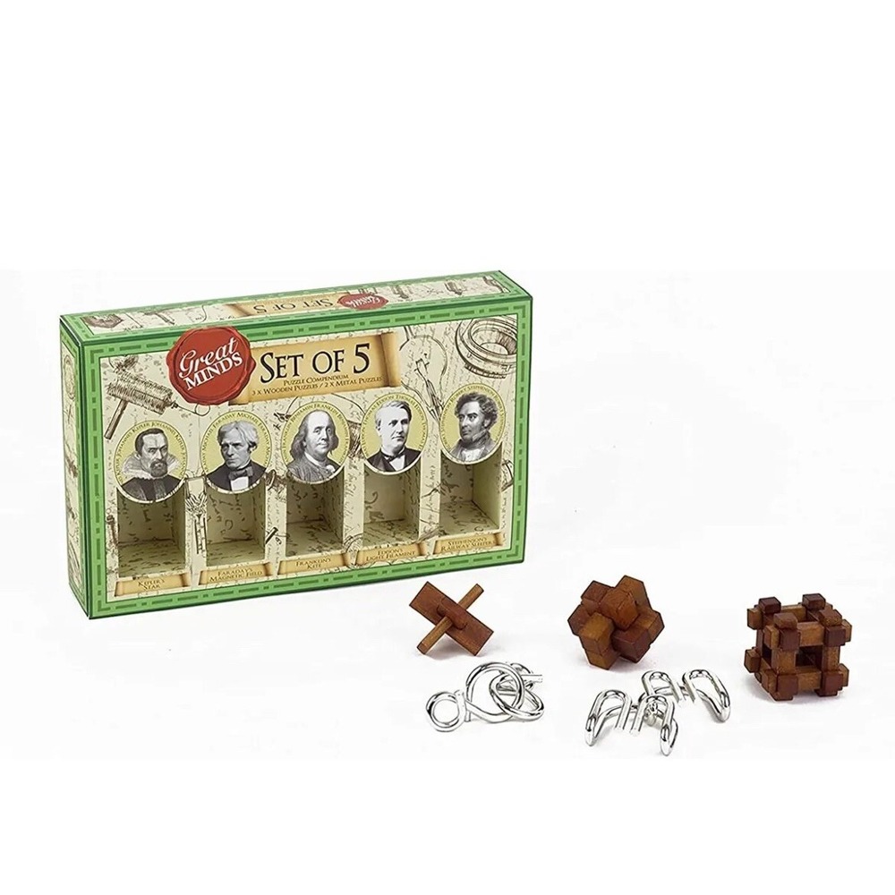 Great Minds Set of 5 3D‎ Puzzles Professor Puzzle Brain Teaser New